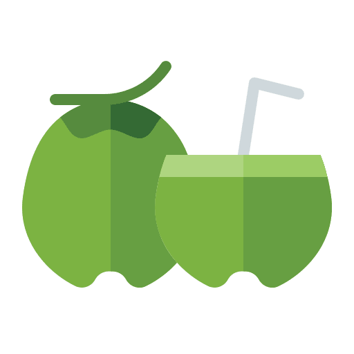 Coconut fruit healthy food organic icon