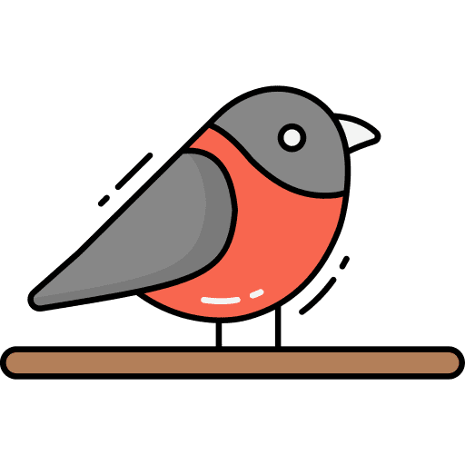 Bird bird eagle ornithology icon Bird bird eagle ornithology icon
