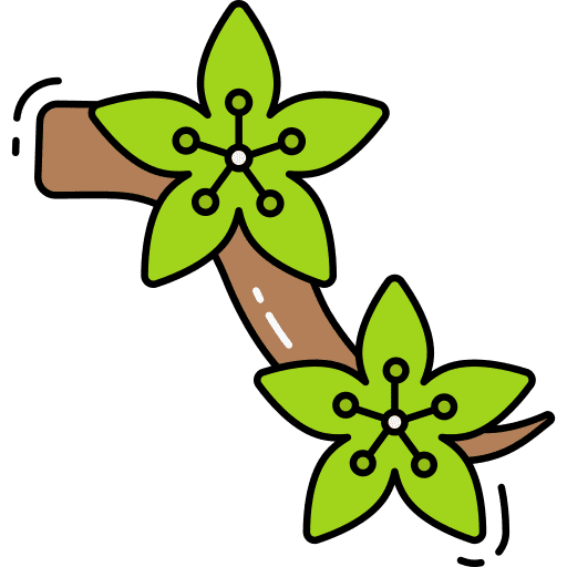 Cherry blossom sakura flowers hanami icon Cherry blossom sakura flowers hanami icon