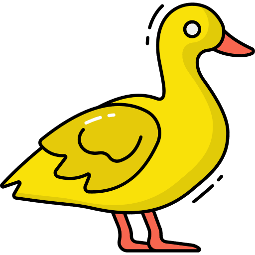 Duck wild life zoo animal kingdom icon Duck wild life zoo animal kingdom icon