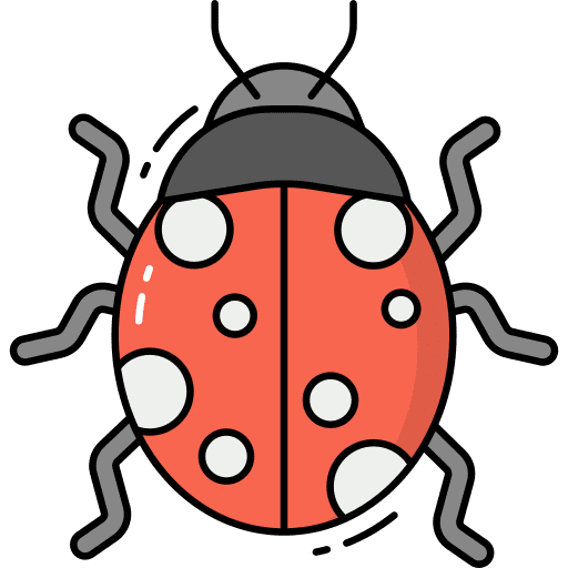 Ladybug insect ladybug ladybird icon Ladybug insect ladybug ladybird icon