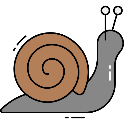 Snail animal spring wildlife icon Snail animal spring wildlife icon