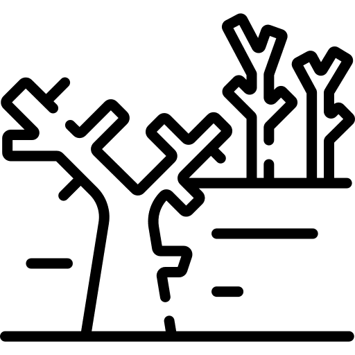 Dry tree desertification nature drought icon