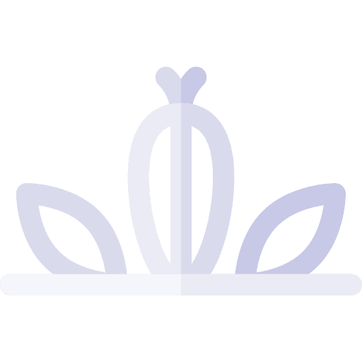 Diadem accessories fashion princess icon