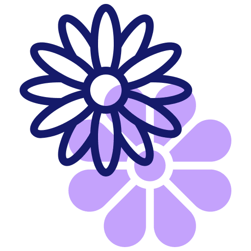 Daisy flower flowers daisy icon