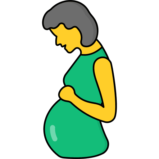 Pregnant woman mom pregnancy icon
