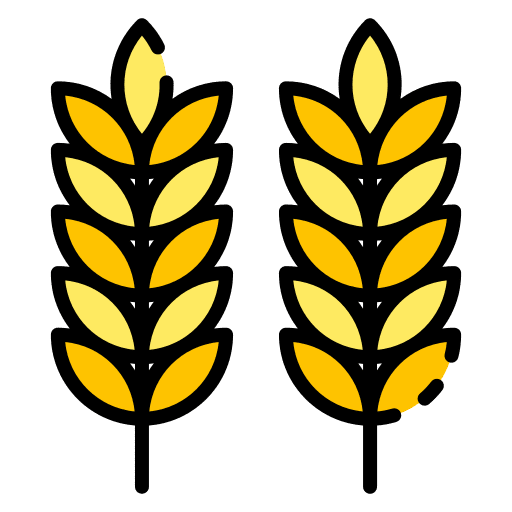 Wheat food and restaurant cereal farming and gardening icon Wheat food and restaurant cereal farming and gardening icon