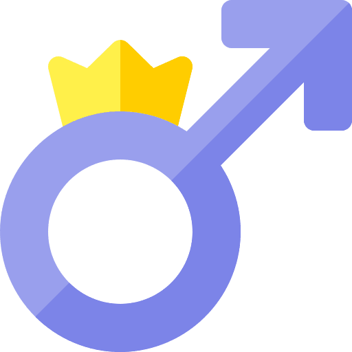 Symbol king masculine shapes and symbols icon Symbol king masculine shapes and symbols icon