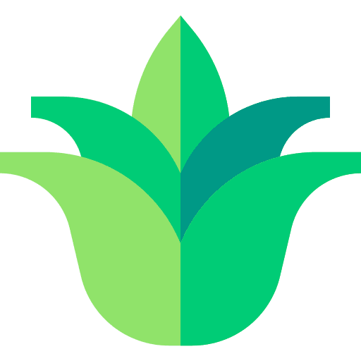 Aloe vera aloe vera leaf botanical icon Aloe vera aloe vera leaf botanical icon