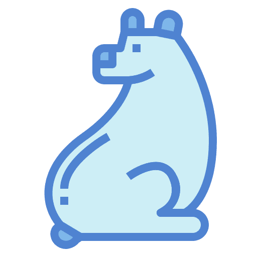 Bear bear mammal wild life icon
