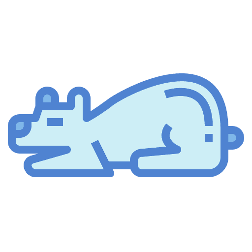 Bear bear wild life mammal icon Bear bear wild life mammal icon