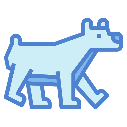 Bear bear wild life mammal icon Bear bear wild life mammal icon