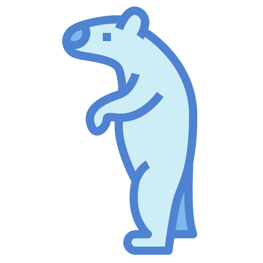 Bear wild life zoo animals icon