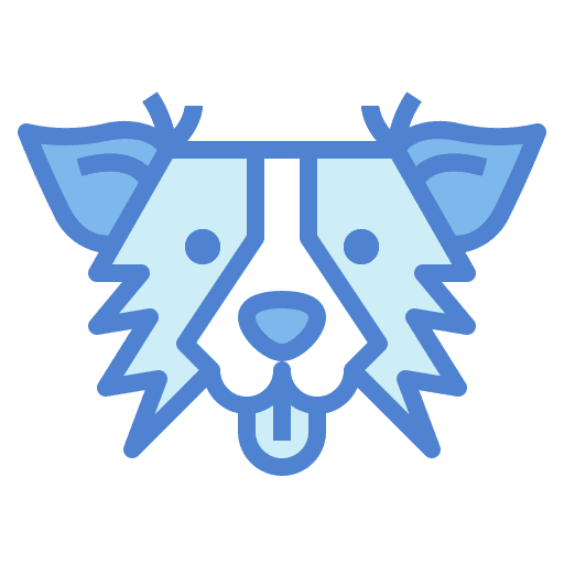 Border collie animal dog pet icon