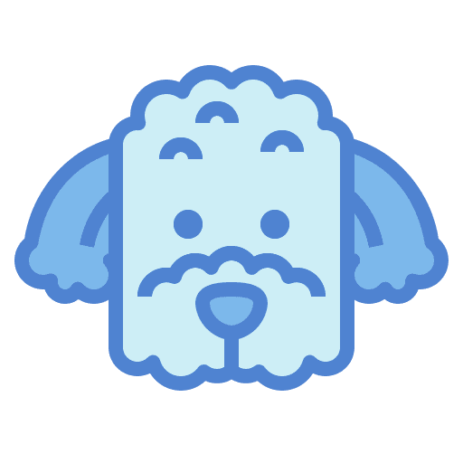 Poodle animal poodle animals icon Poodle animal poodle animals icon