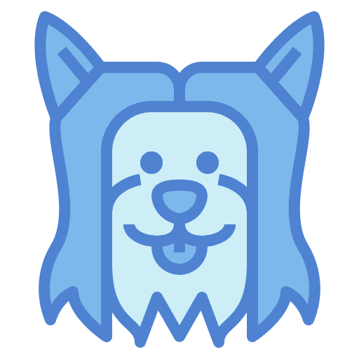 Yorkshire terrier animal yorkshire terrier mammal icon Yorkshire terrier animal yorkshire terrier mammal icon