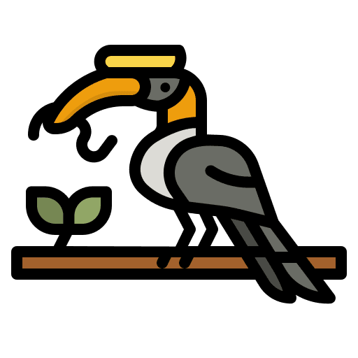 Hornbill animals bird ornithology icon Hornbill animals bird ornithology icon
