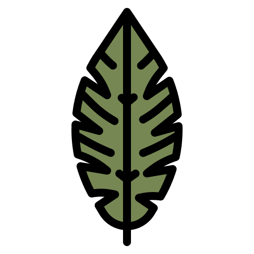 Leaf plant banana leaf icon Leaf plant banana leaf icon