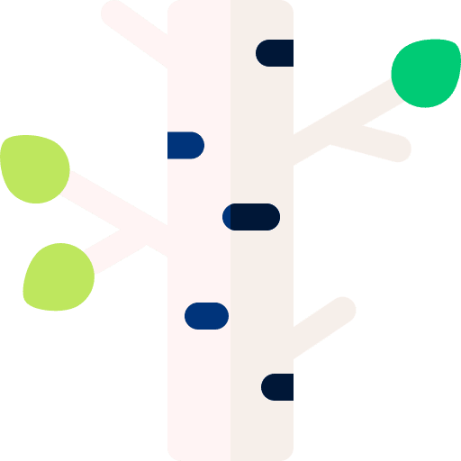 Birch nature trunks log icon Birch nature trunks log icon