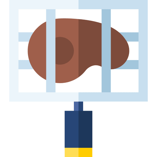 Grill grill meat proteins icon
