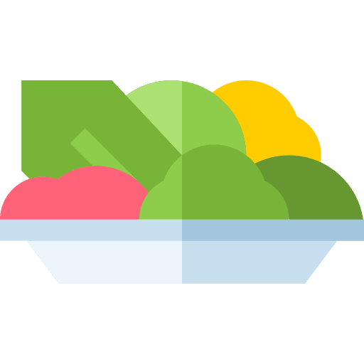 Salad vegetables healthy food vegan icon