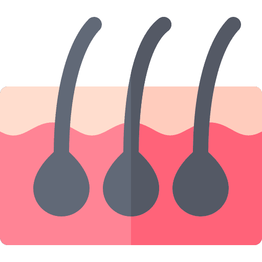 Hair beauty dermis skin icon Hair beauty dermis skin icon