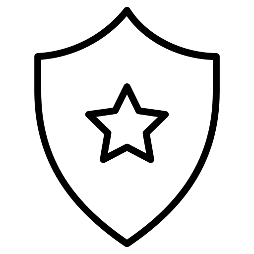 Shield shield protection security icon