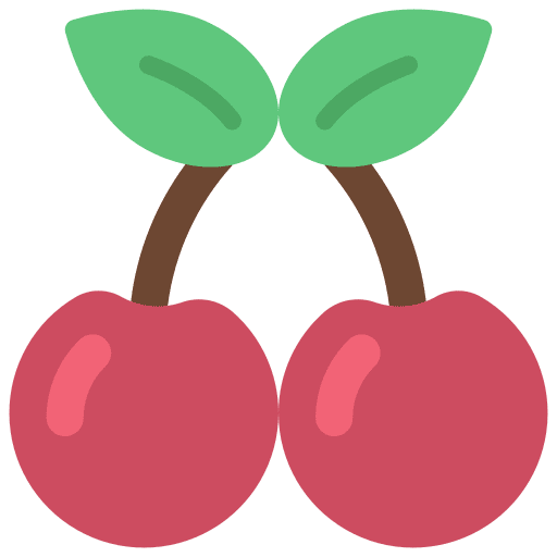 Cherries food vegan diet icon