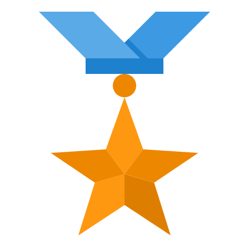 Medal award reward winner icon Medal award reward winner icon