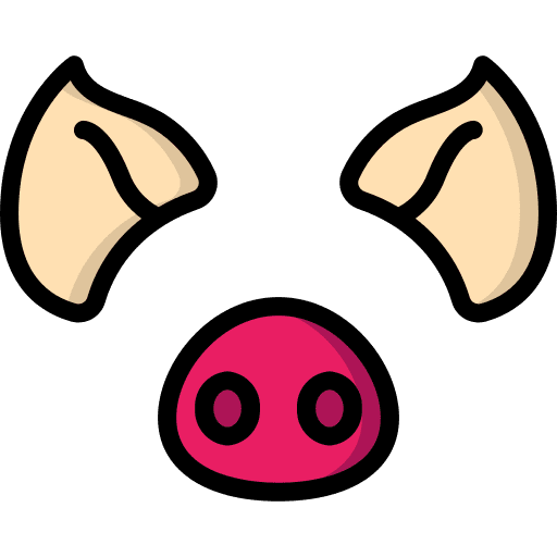 Pig photo face pig icon