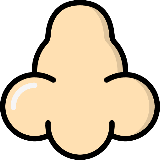 Nose sticker face big icon Nose sticker face big icon