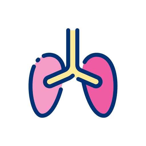 Lungs healthcare and medical anatomy lungs icon Lungs healthcare and medical anatomy lungs icon