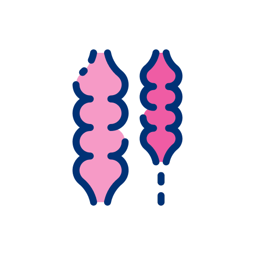 Colon large intestine human body colon icon Colon large intestine human body colon icon