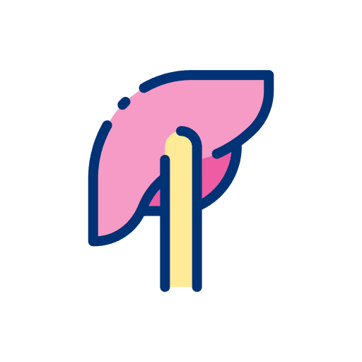 Hepatitis health liver healthcare and medical icon Hepatitis health liver healthcare and medical icon