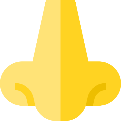 Nose nose smileys smiley icon