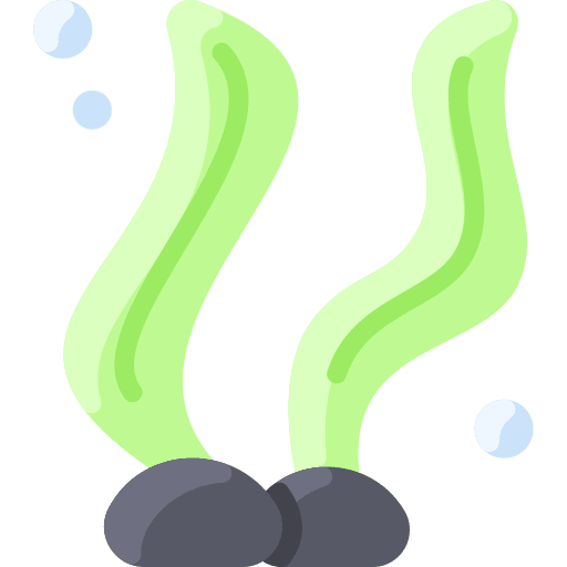 Seaweed sea life nature seaweed icon Seaweed sea life nature seaweed icon