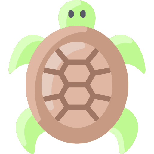 Turtle turtle aquatic sea life icon Turtle turtle aquatic sea life icon