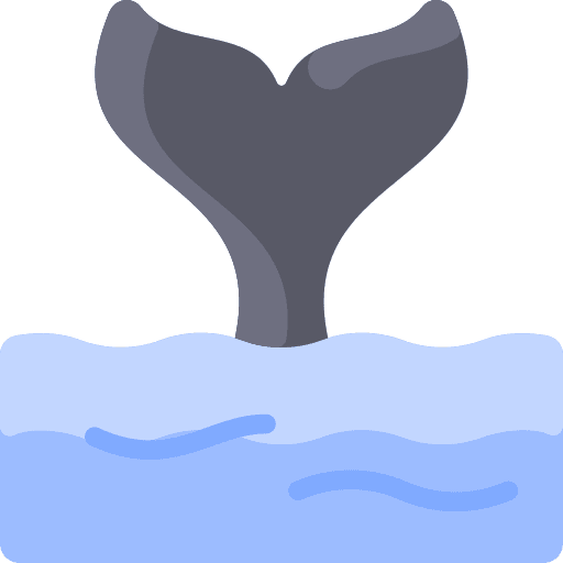 Whale sea wild life animals icon