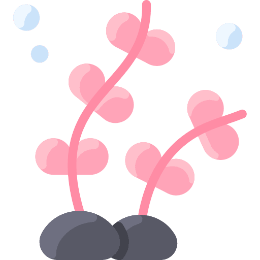 Coral reef coral reef nature aquatic icon Coral reef coral reef nature aquatic icon
