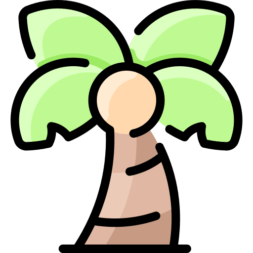 Palm nature botanical tropical icon