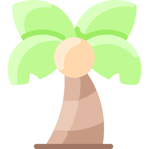 Palm palm tree palm nature icon