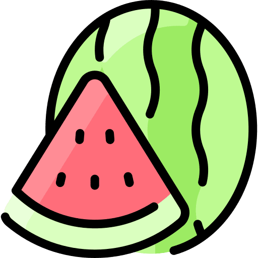 Watermelon summertime healthy food food icon
