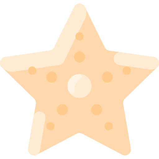 Starfish aquatic animals sea life icon Starfish aquatic animals sea life icon