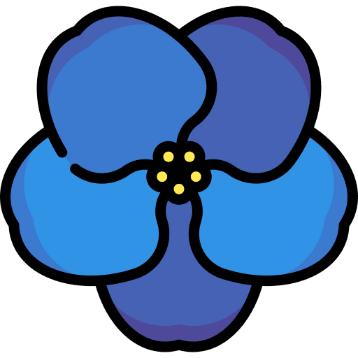 African violet nature botanical african violet icon