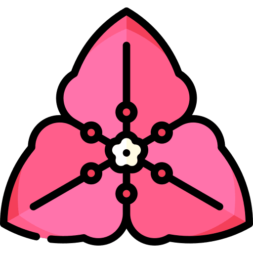 Bougainvillea flower nature botanical icon