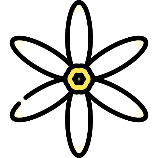 Jasmine blossom botanical gardening icon Jasmine blossom botanical gardening icon