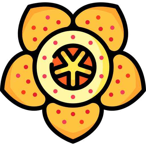 Star botanical flower farming and gardening icon Star botanical flower farming and gardening icon