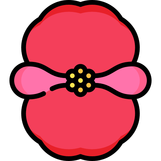 Begonia blossom flower gardening icon Begonia blossom flower gardening icon
