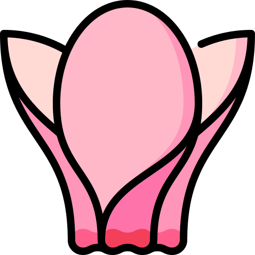 Cyclamen nature cyclamen farming and gardening icon Cyclamen nature cyclamen farming and gardening icon