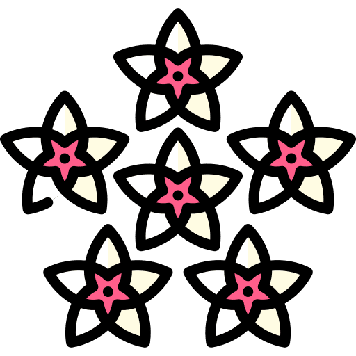 Hoya hoya flower botanical icon Hoya hoya flower botanical icon